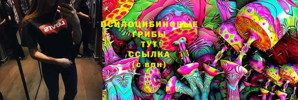 jwh Гусиноозёрск