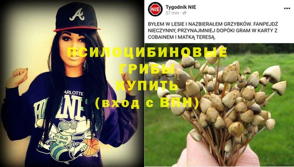 jwh Гусиноозёрск