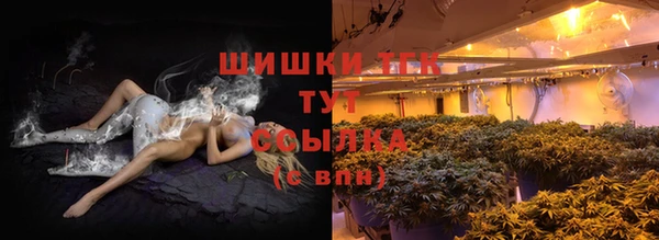 мет Гусев