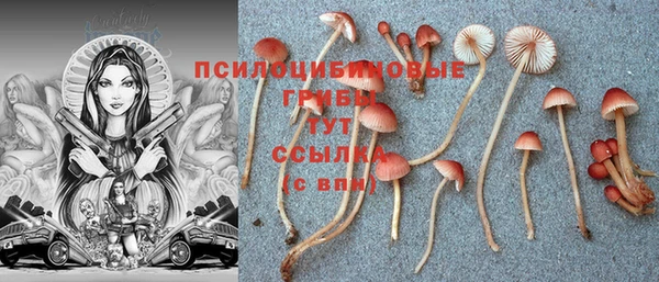 мдма Гусь-Хрустальный