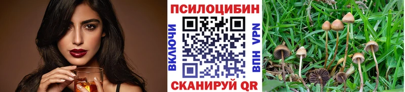 Галлюциногенные грибы MAGIC MUSHROOMS  Купить где  Карачаевск 