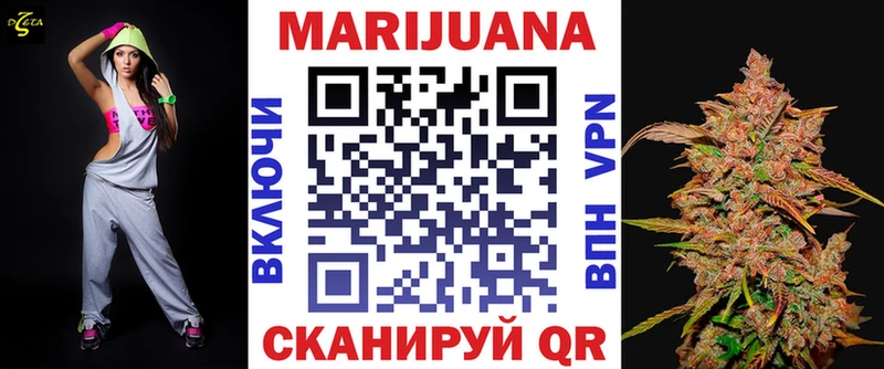 Купить закладки  Карачаевск  Канабис VHQ 